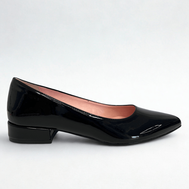 2844 VERNICE NERA T.20